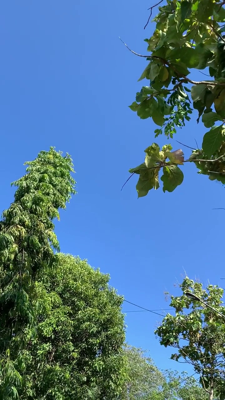 夏日，晴朗明亮的蓝天视频素材