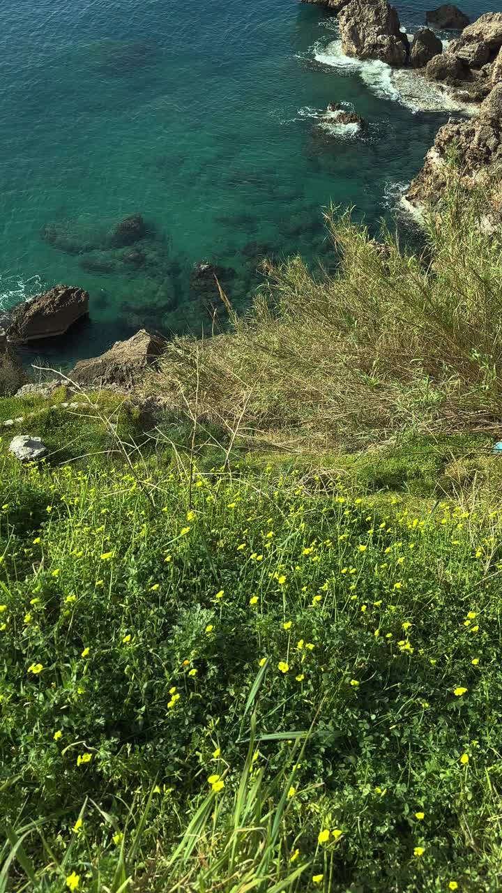 春花和海景视频素材