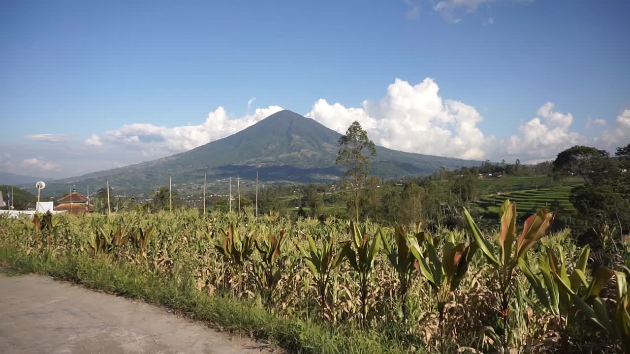 在乡村旅行，可以看到广阔的稻田和群山视频素材