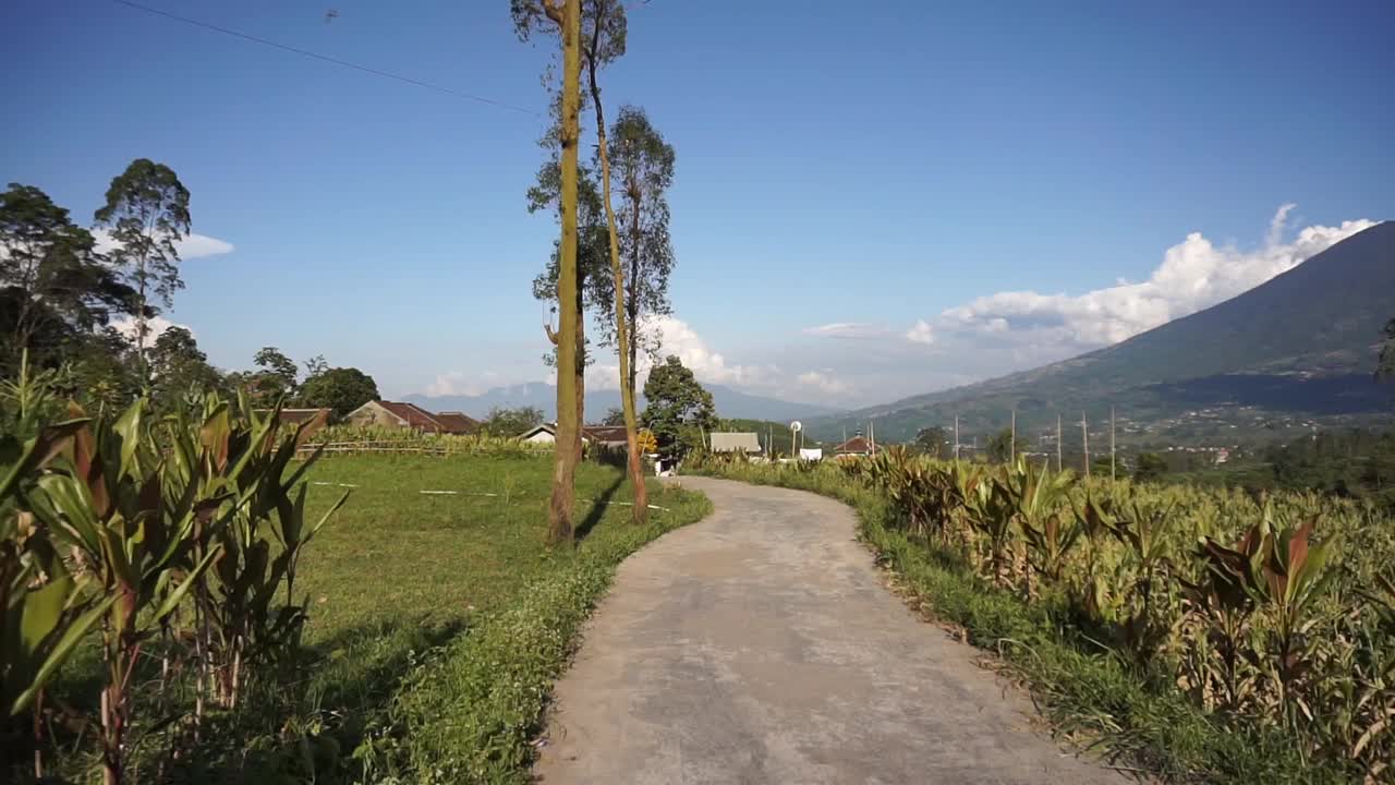 在乡村旅行，可以看到广阔的稻田和群山视频素材