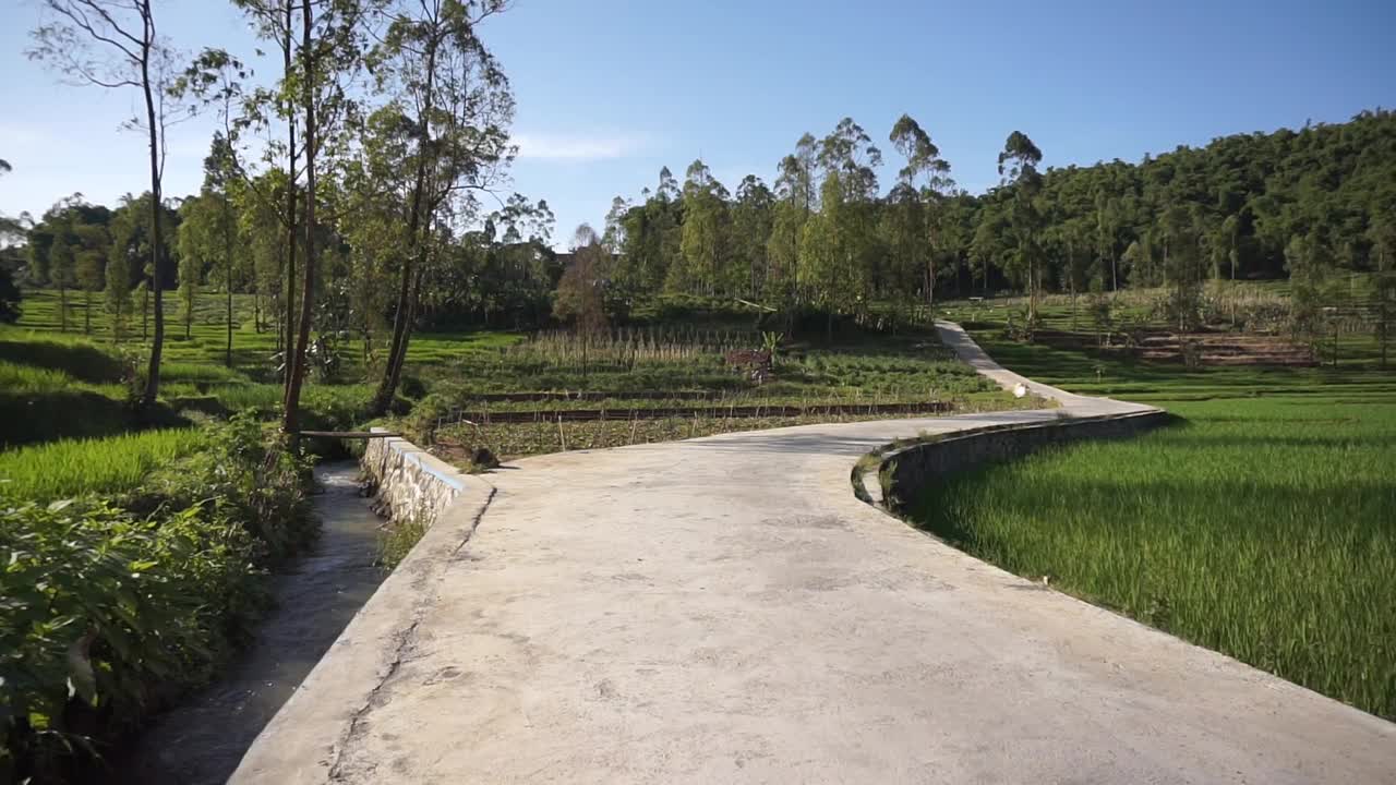 在乡村旅行，可以看到广阔的稻田和群山视频素材