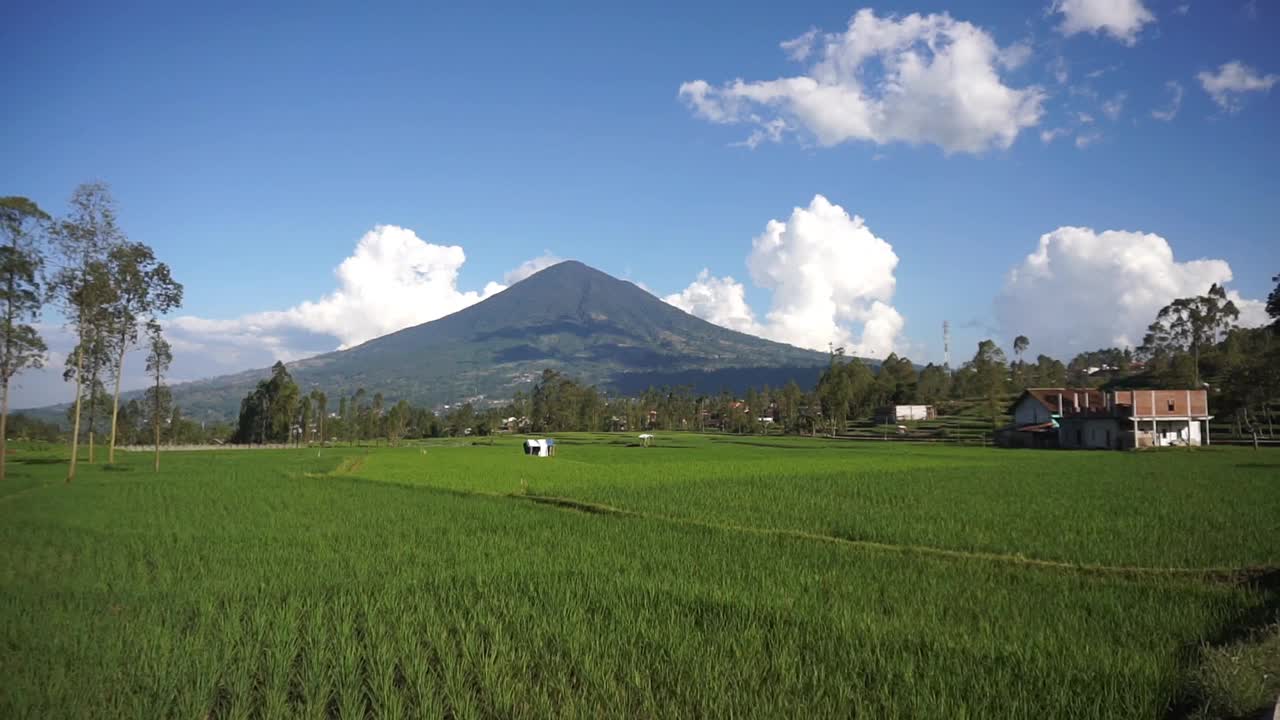 在乡村旅行，可以看到广阔的稻田和群山视频素材