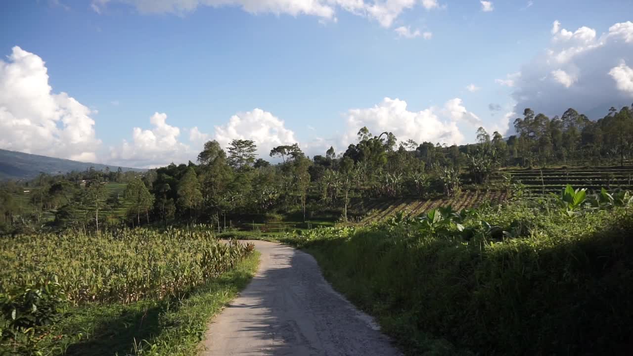 在乡村旅行，可以看到广阔的稻田和群山视频素材