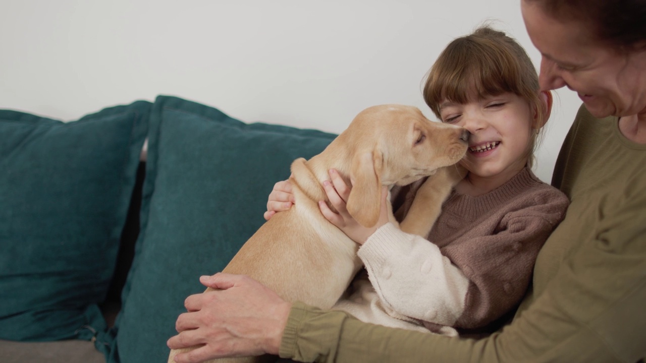 祖母花时间与她的孙子和拉布拉多猎犬小狗视频素材