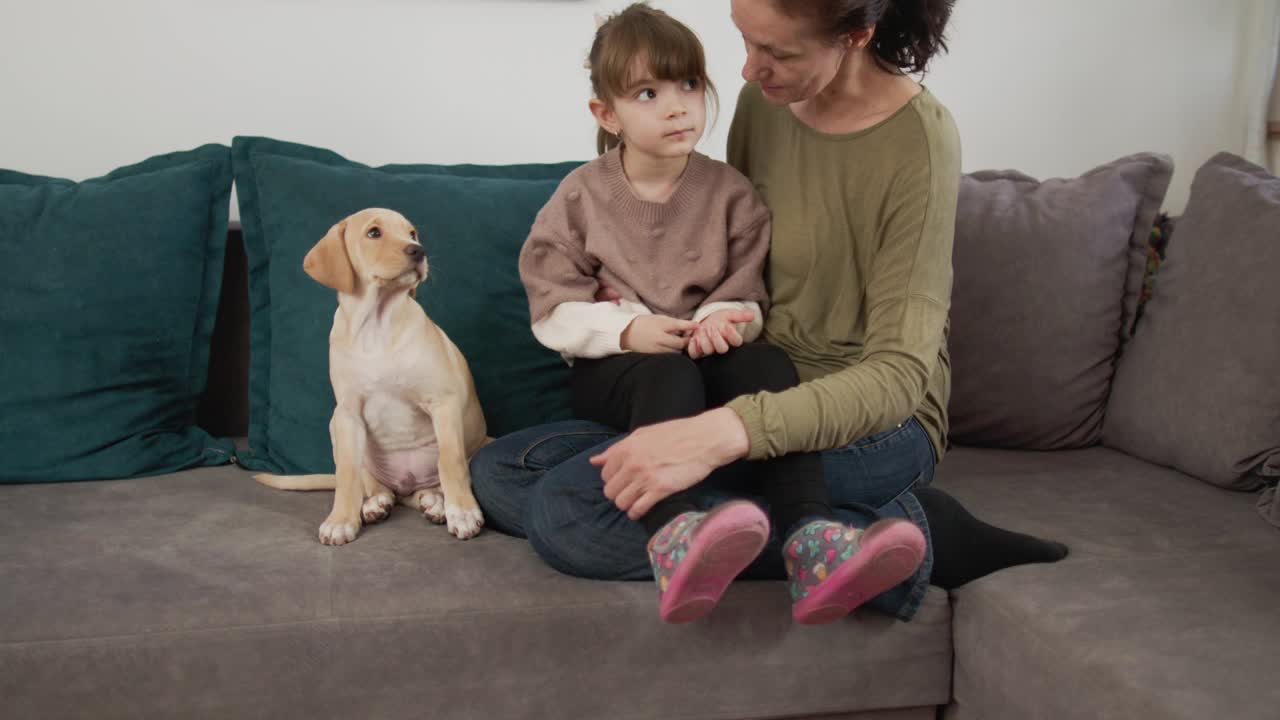 祖母花时间与她的孙子和拉布拉多猎犬小狗视频素材