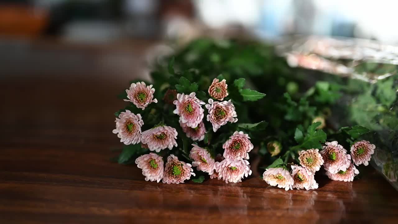 桌子上粉红色的小雏菊的特写视频素材