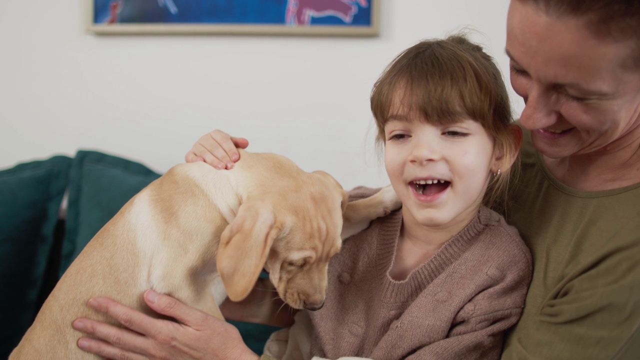 祖母花时间与她的孙子和拉布拉多猎犬小狗视频素材