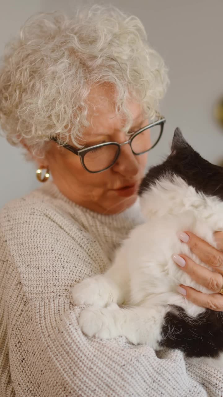 一位高级女士抱着她的猫的肖像视频视频素材