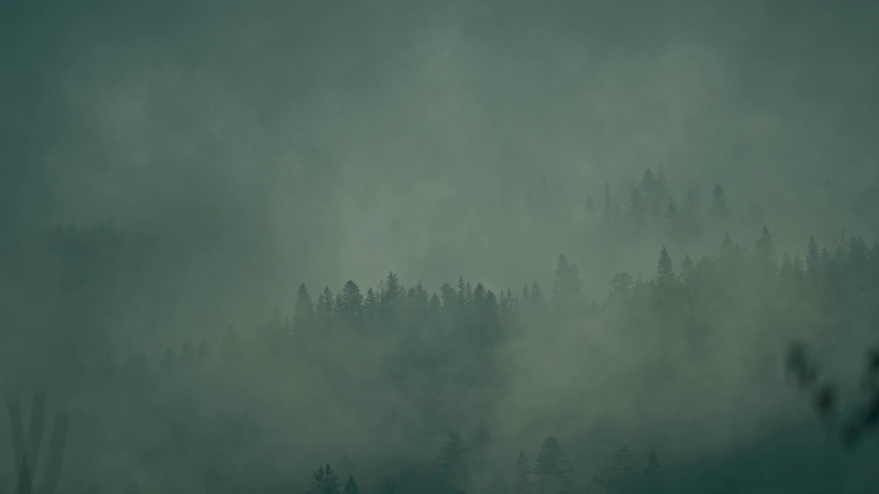 美丽的雾蒙蒙的风景与黑暗的森林在山上低云。阴郁大气的风景，针叶树在神秘的浓雾中视频素材