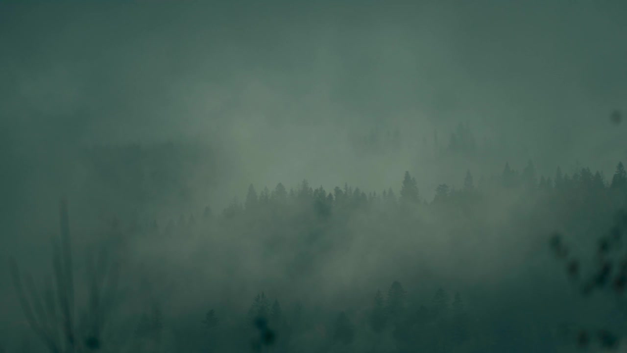 美丽的雾蒙蒙的风景与黑暗的森林在山上低云。阴郁大气的风景，针叶树在神秘的浓雾中视频素材