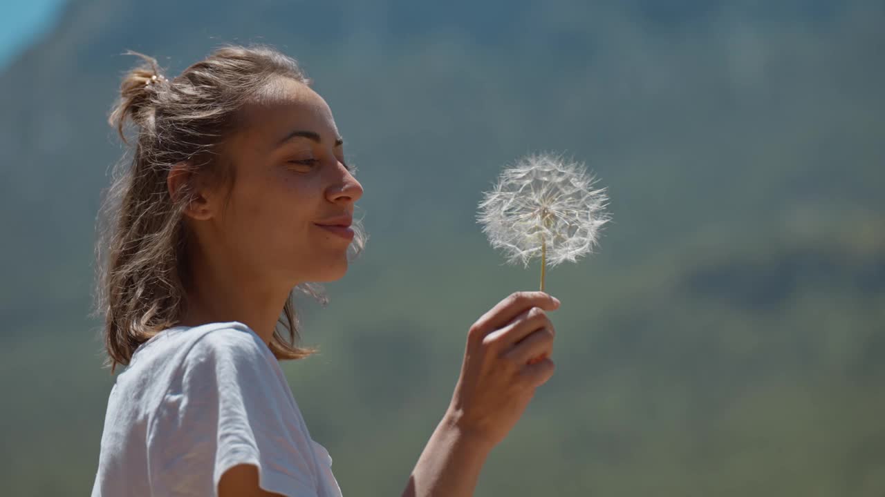 美丽有趣的年轻女子吹蒲公英。在户外。享受大自然。夏日草坪上健康微笑的女孩。无过敏概念。华丽苗条的混合种族白种人。视频素材