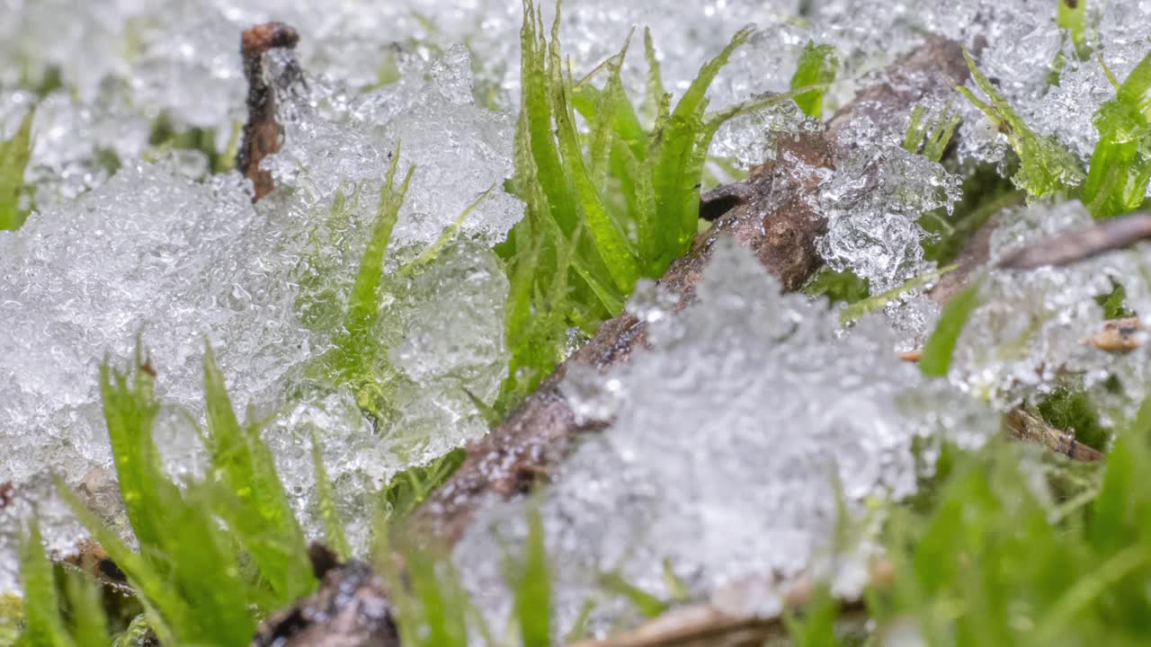 微距延时拍摄闪亮的融化的雪颗粒视频购买