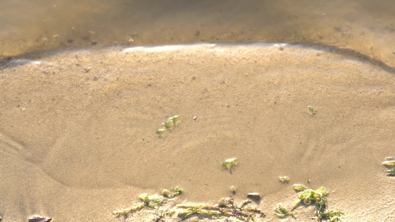 夏天湖水的波浪视频下载