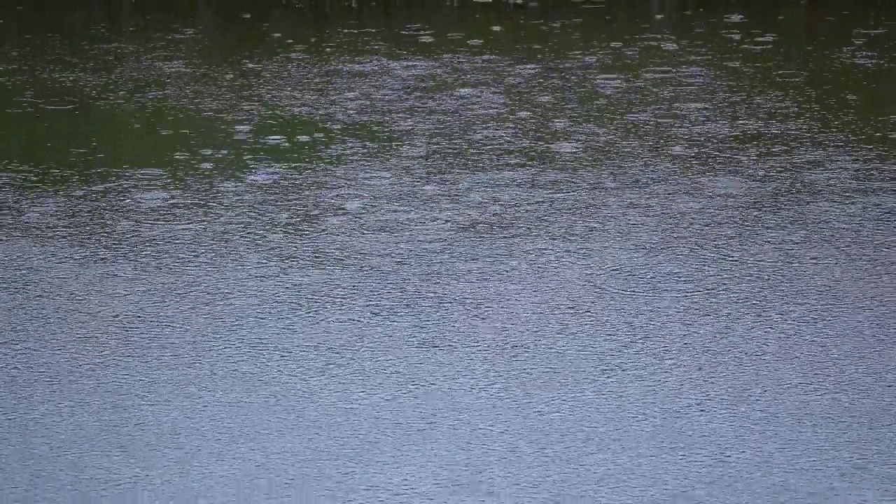 雨水落在水面上视频下载