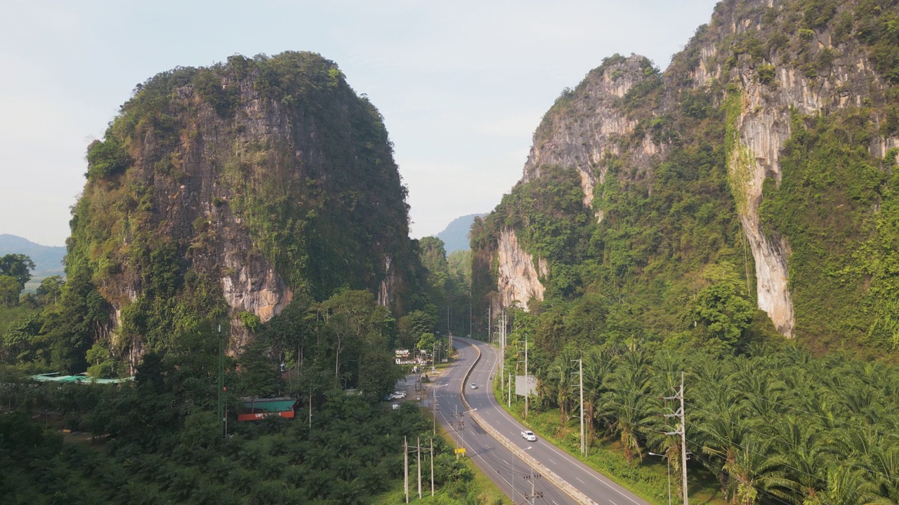 泰国棕榈油种植园道路的鸟瞰图视频素材