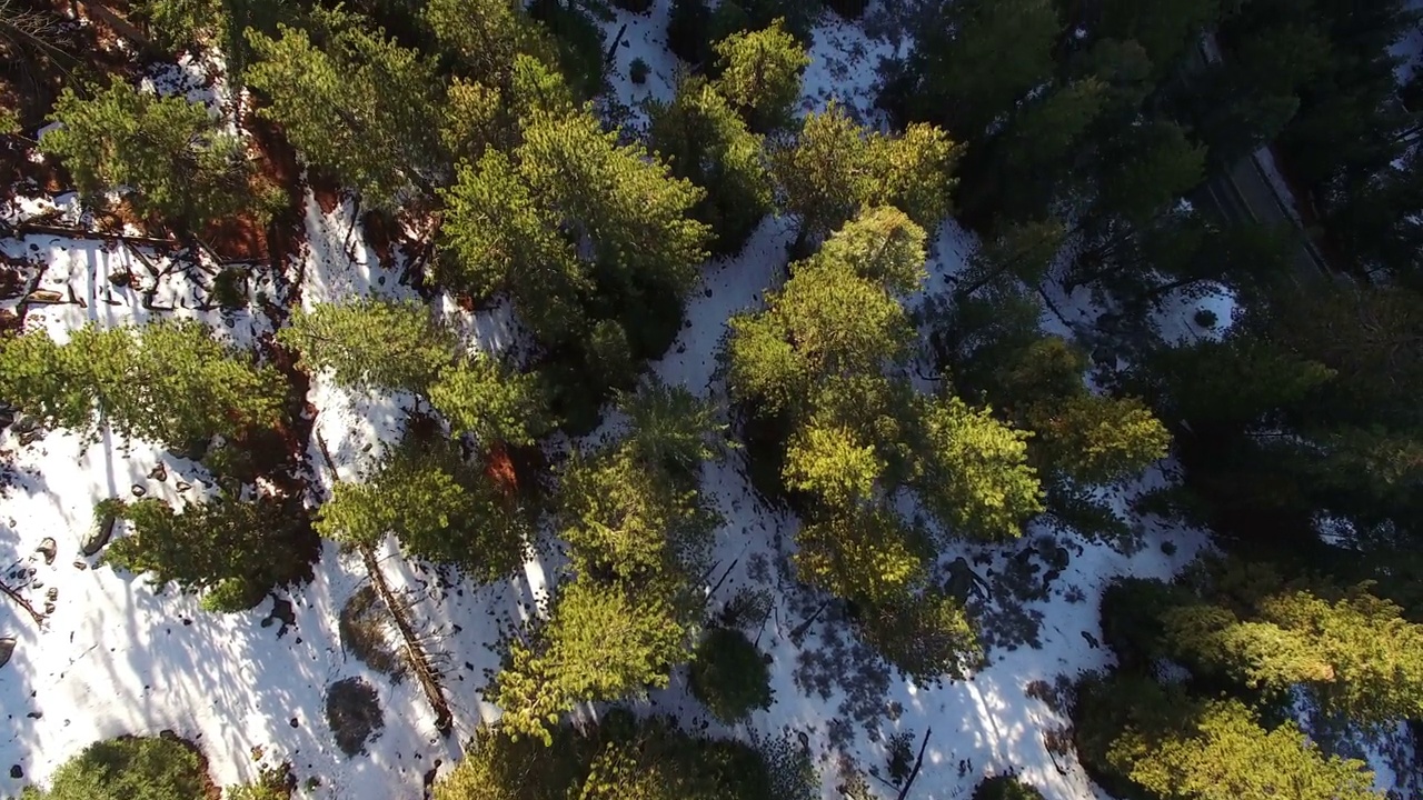 冬季雪航拍松林和山脉加州前进街道视频素材