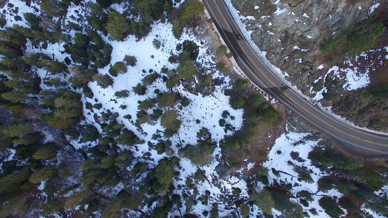 冬季雪航拍松林和山脉加州前左视频素材