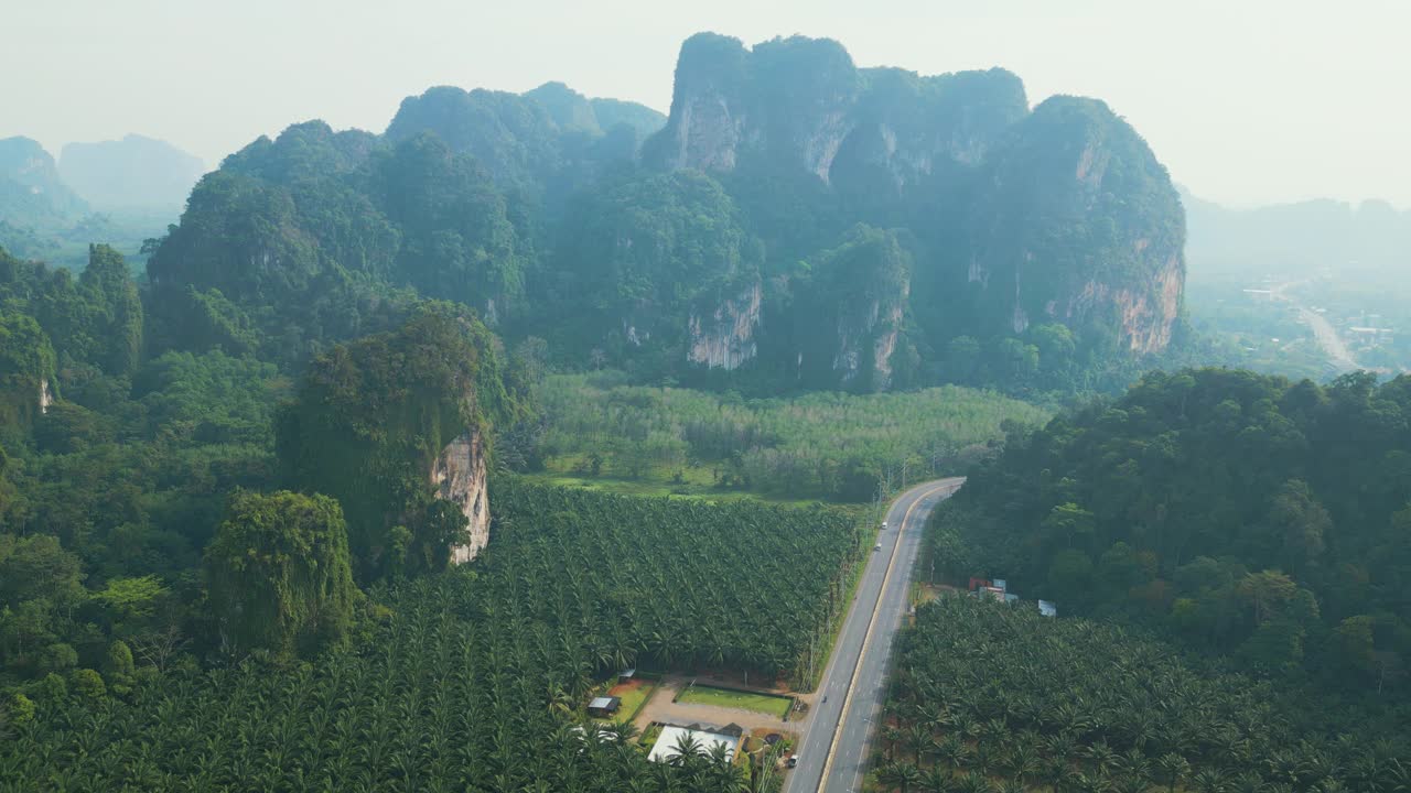 泰国棕榈油种植园道路的鸟瞰图视频素材