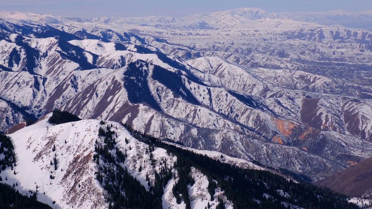 冬山脊冠林视频素材