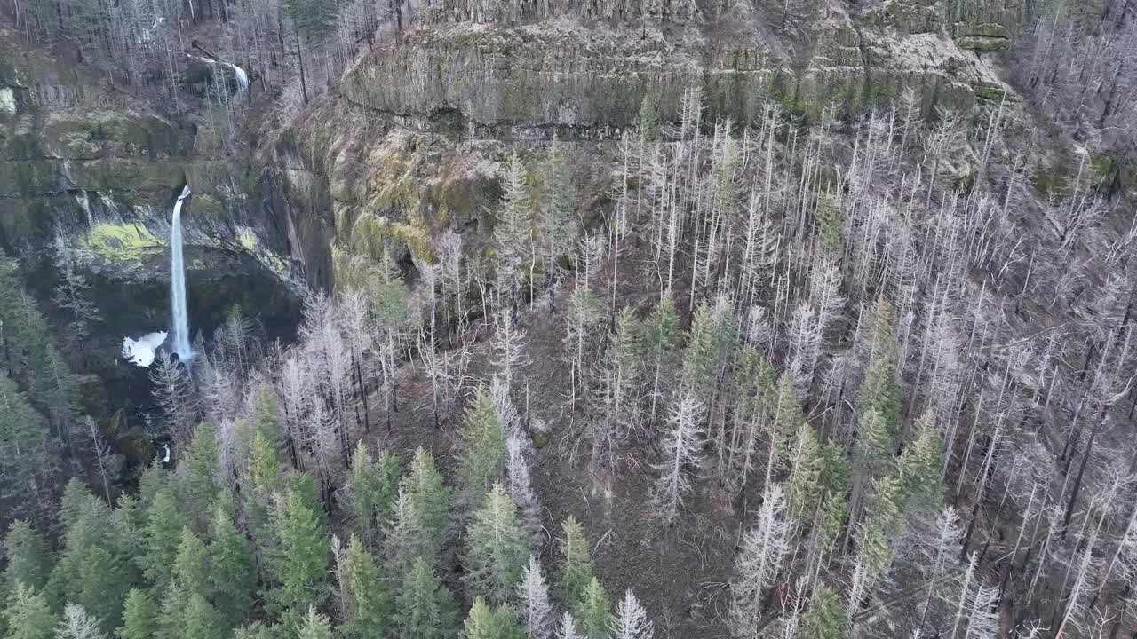 俄勒冈州哥伦比亚河峡谷的森林和瀑布视频素材