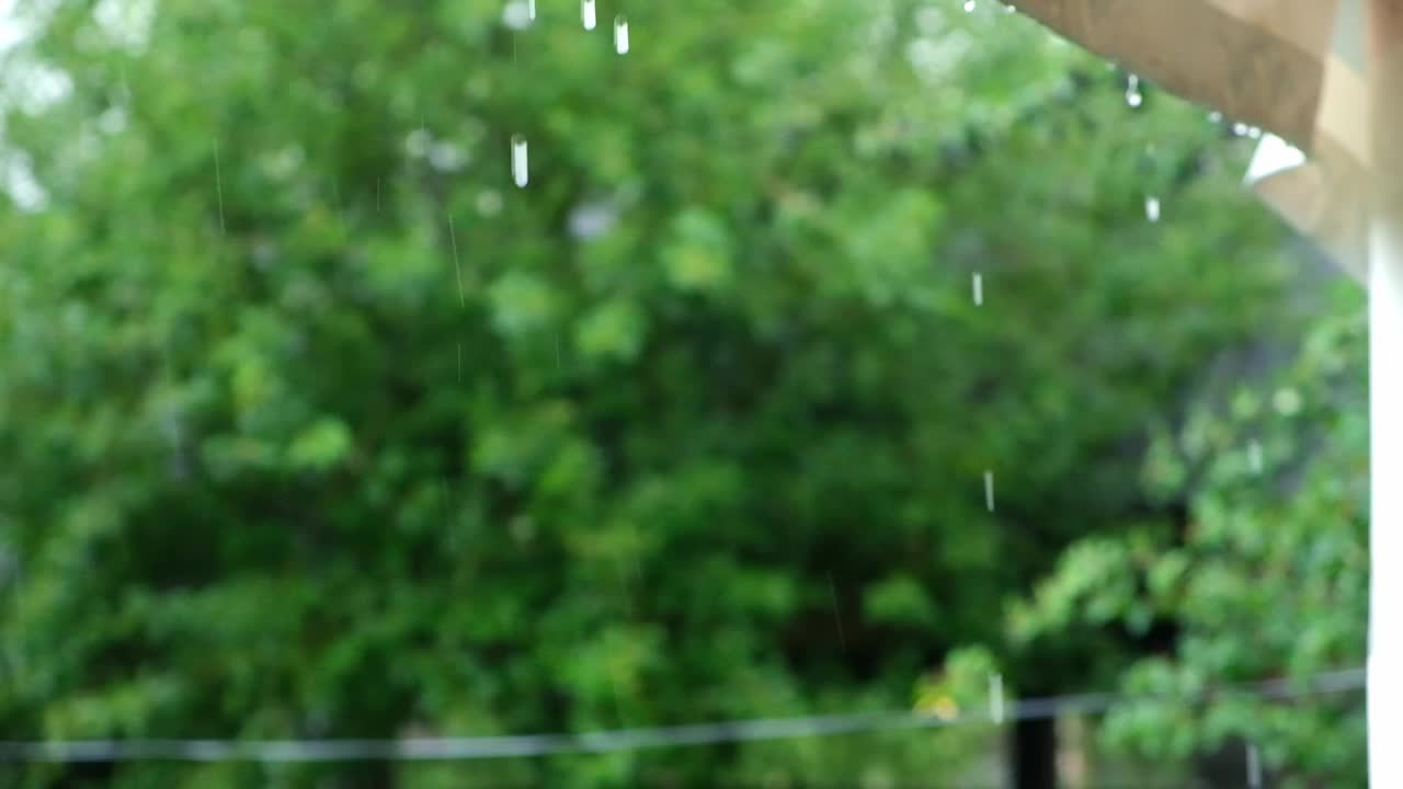 夏雨。雨滴落在绿树的背景上。关注前景。视频素材