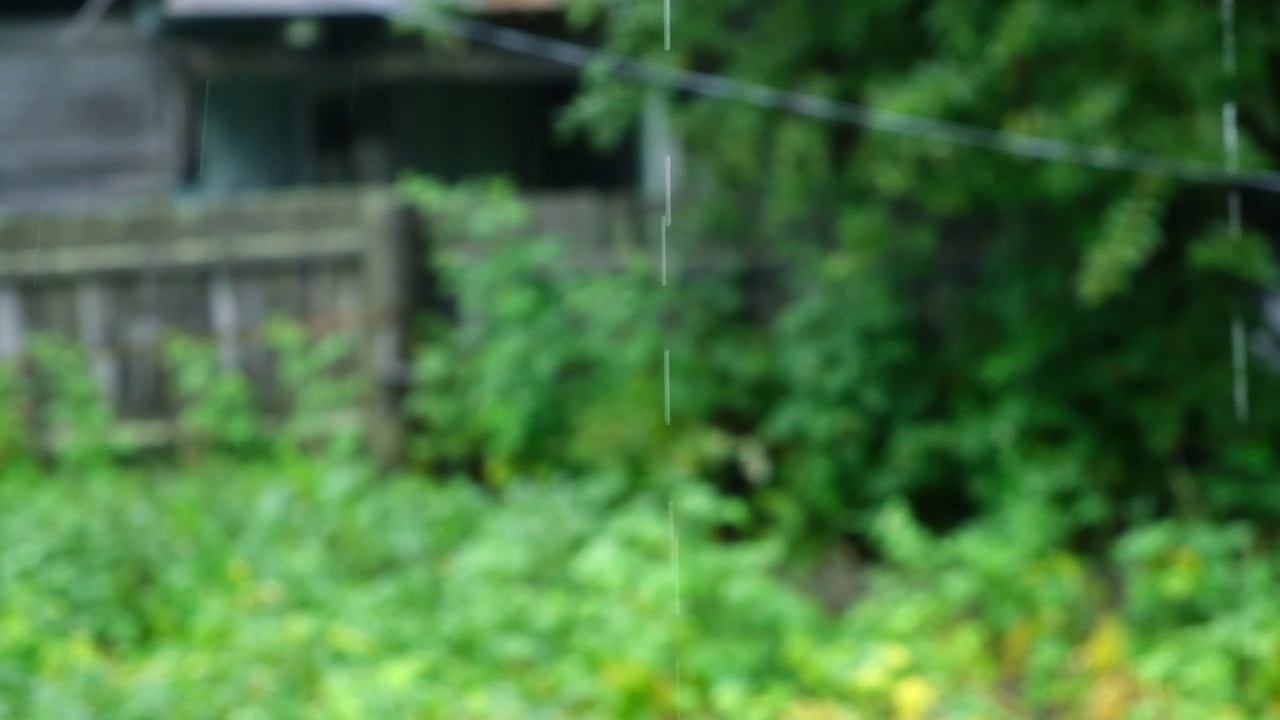 夏雨。雨滴落在绿树的背景上。关注前景。视频素材