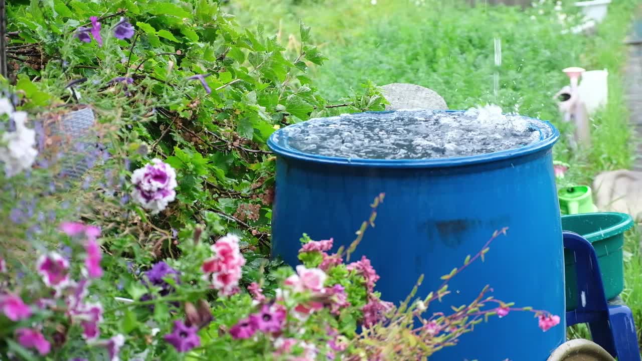 用来收集雨水的蓝色桶。用塑料容器收集雨水。视频素材