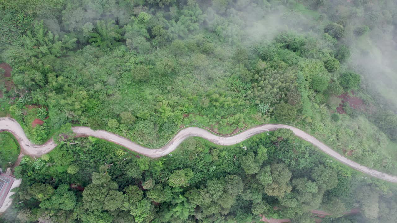 乡村道路的俯视图，穿过绿色的森林和山视频素材