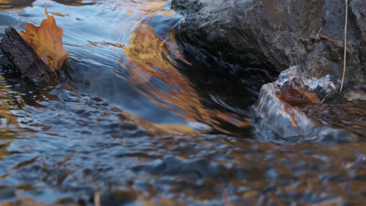 流水上的垃圾视频素材