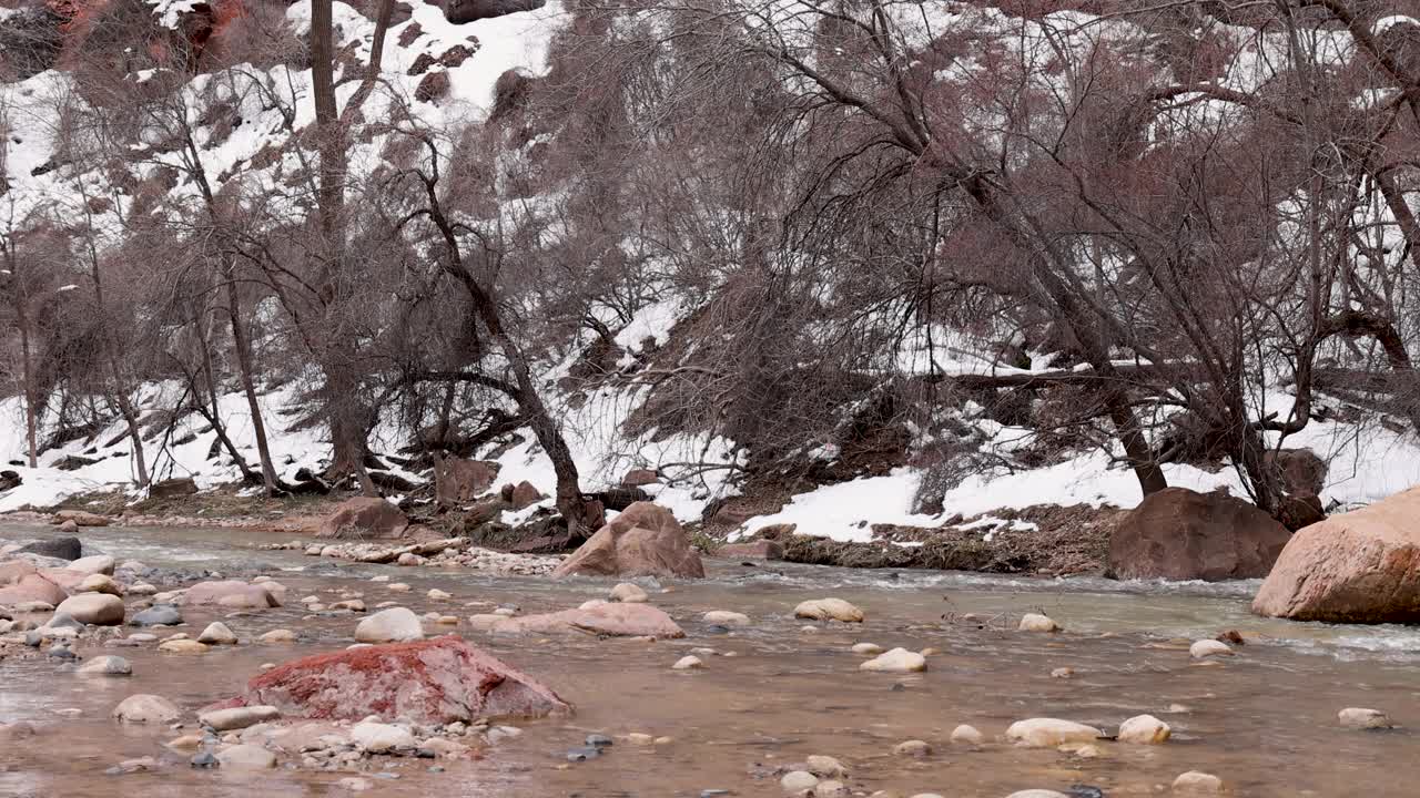 锡安国家公园犹他州维珍河红岩峡谷雪4K视频素材