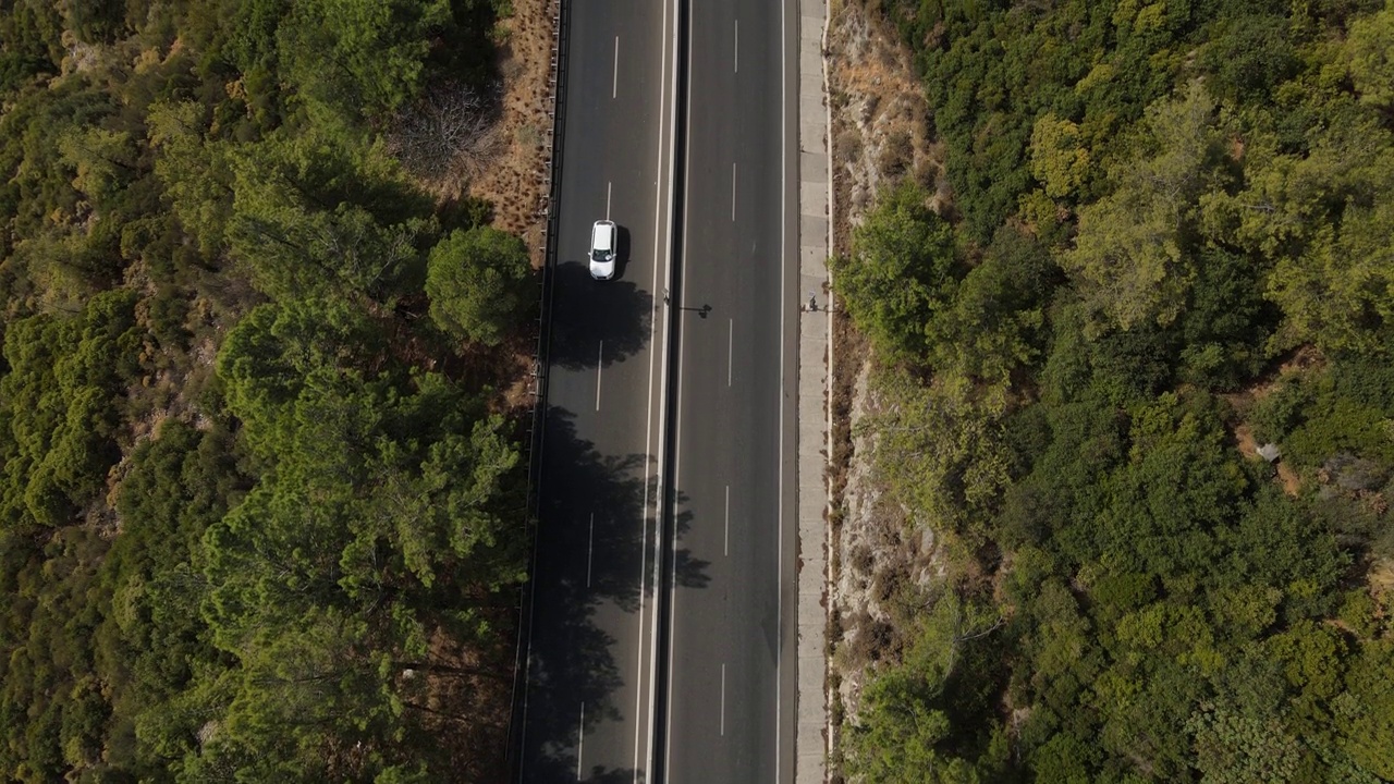 森林公路视频素材