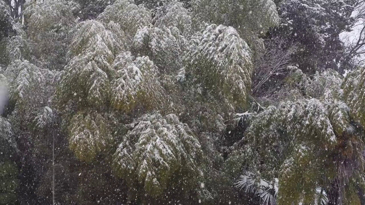 怎么下雪视频素材