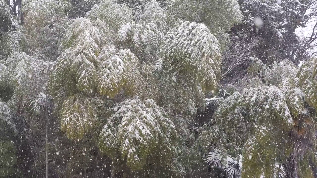 怎么下雪视频素材