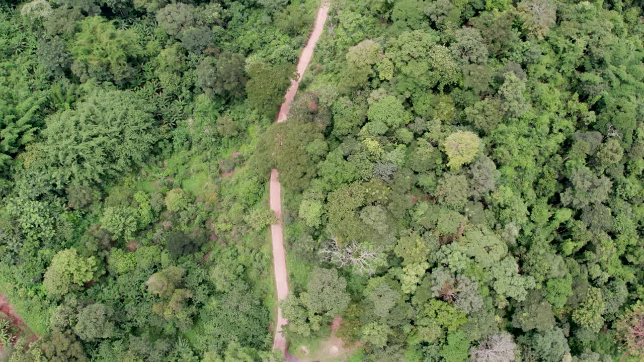 乡村道路的俯视图，穿过绿色的森林和山视频素材