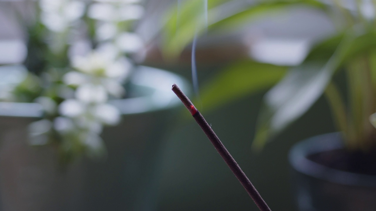 轨道-右特写燃烧的香棒与植物的背景视频素材