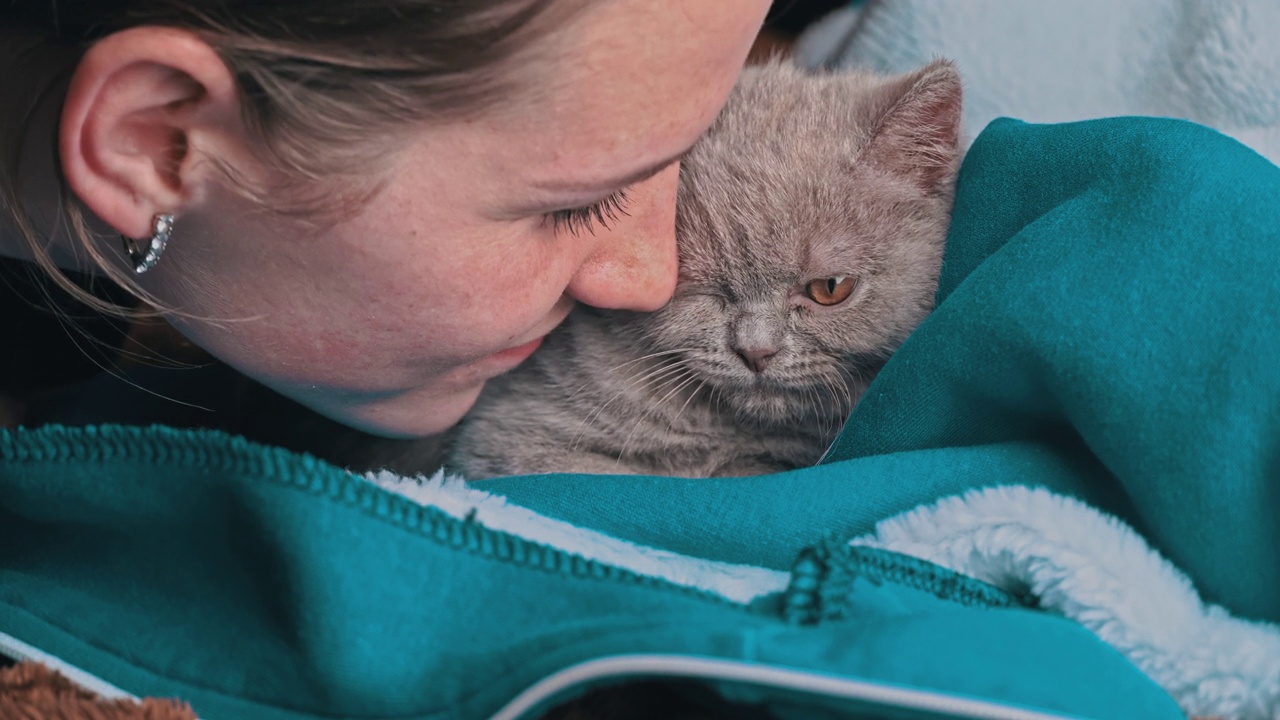 女孩亲吻一只躺在床上的灰色纯种肥皂猫视频素材