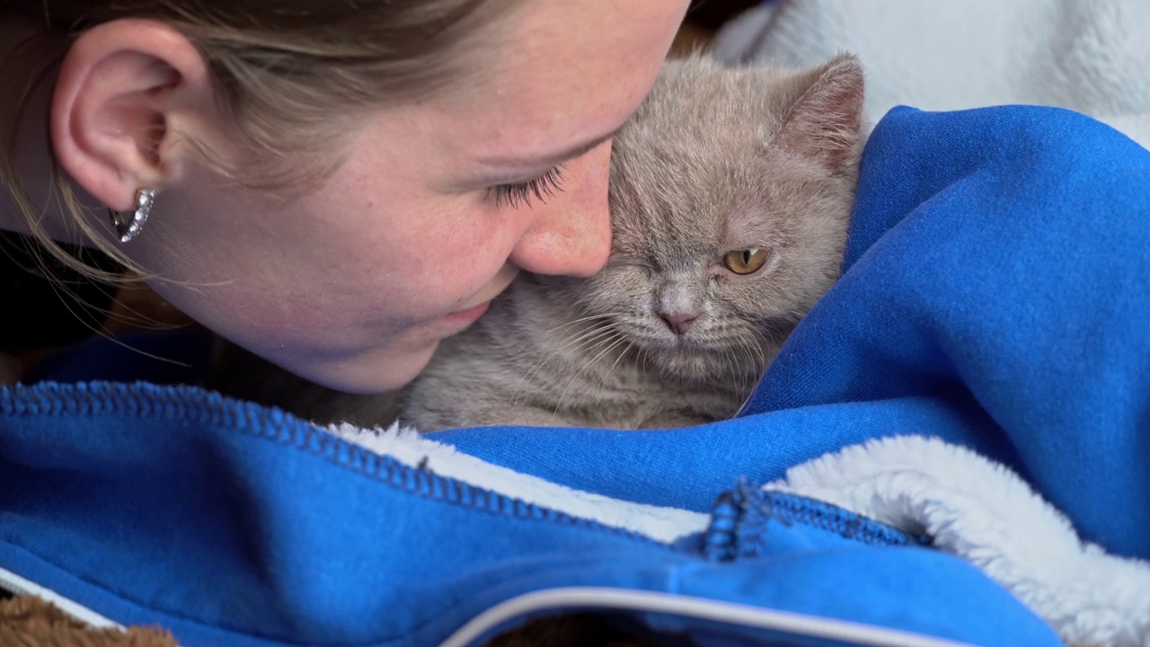 女孩亲吻一只躺在床上的灰色纯种肥皂猫视频素材