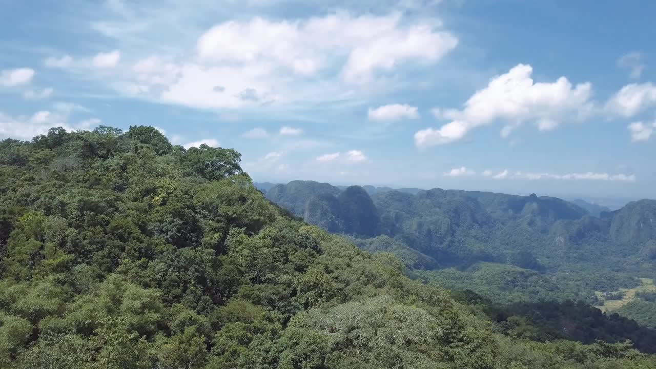 无人机鸟瞰山地热带森林视频视频下载