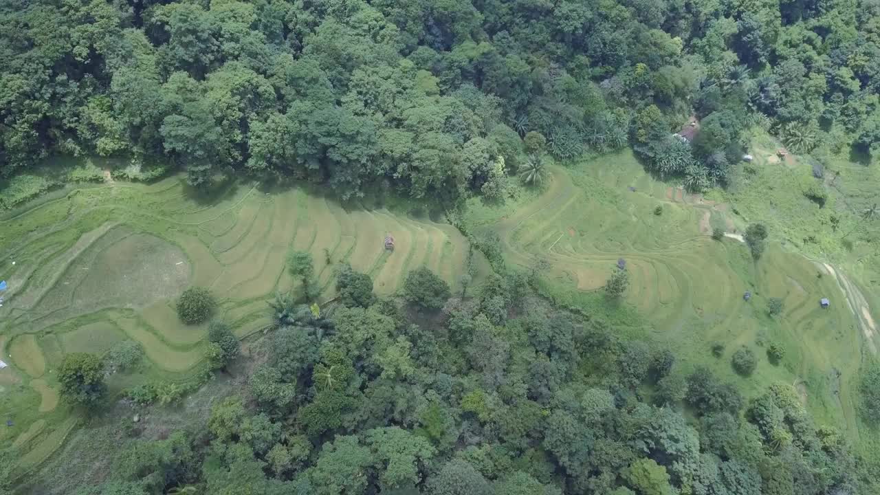 无人机鸟瞰山地热带森林视频视频下载