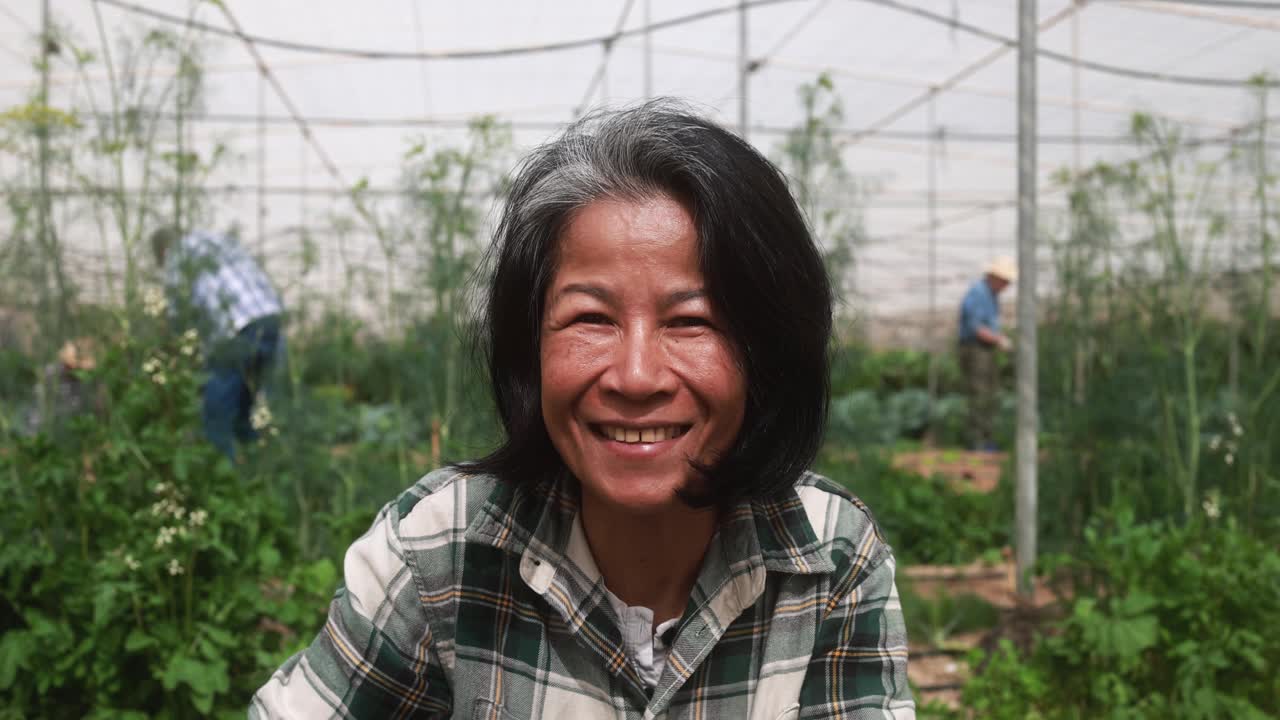 亚洲老年妇女在农场温室内微笑-本地食品和可持续的工作理念视频素材