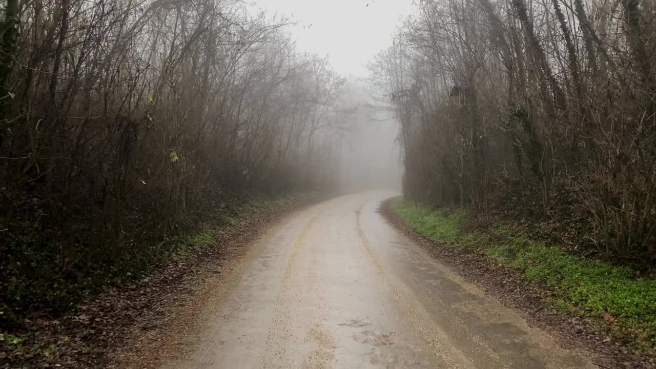 穿过薄雾和树林的小路视频下载