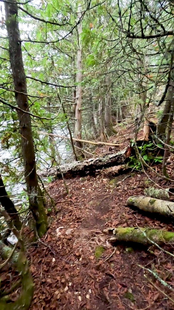 远眺苏必利尔湖的森林林地中遥远的岩石小径视频素材