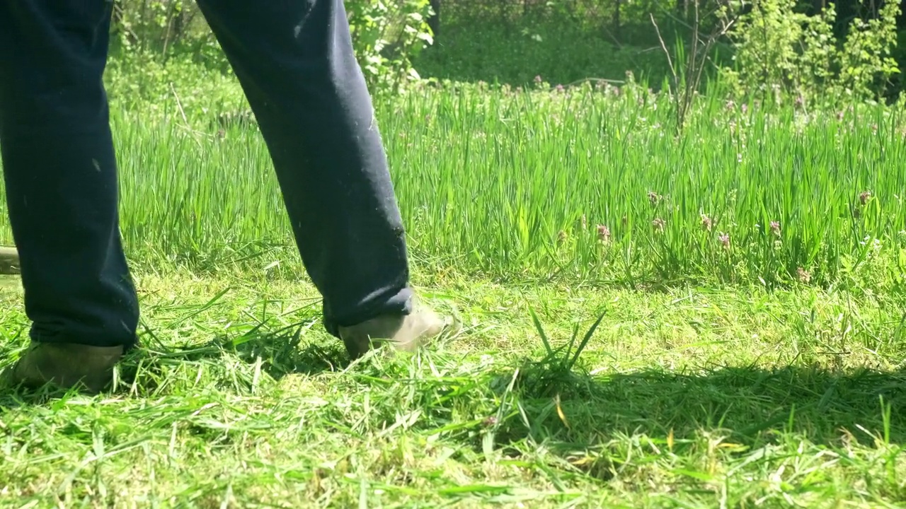 男主人在花园里用电动割草机割草视频素材
