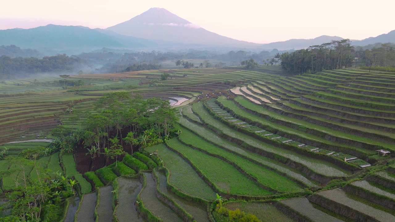 鸟瞰美丽的梯田和山的背景视频素材