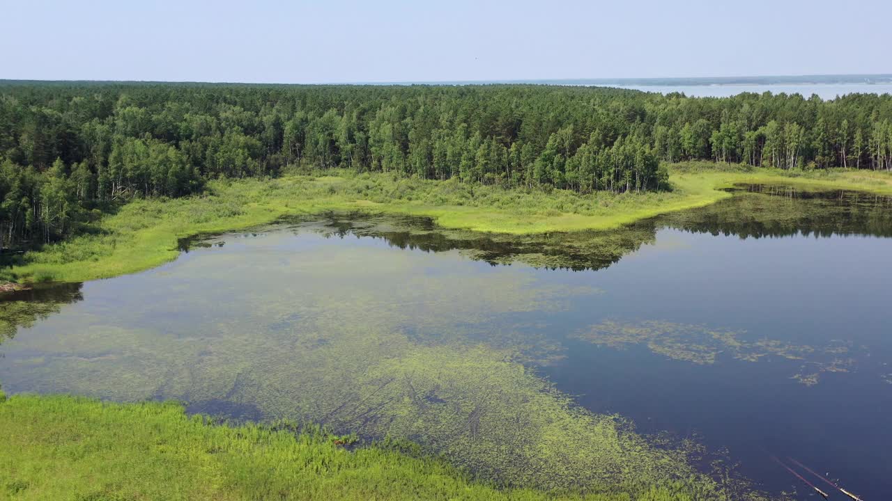 鄂毕水库岸边附近卡拉坎斯基松林森林沼泽湖的航拍视频。视频素材