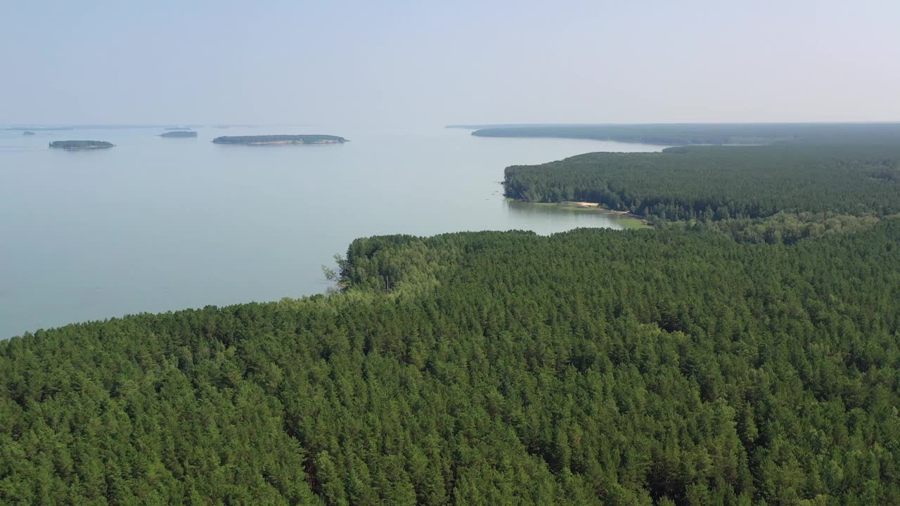 鄂毕水库岸边附近卡拉坎斯基松林森林沼泽湖的航拍视频。视频素材