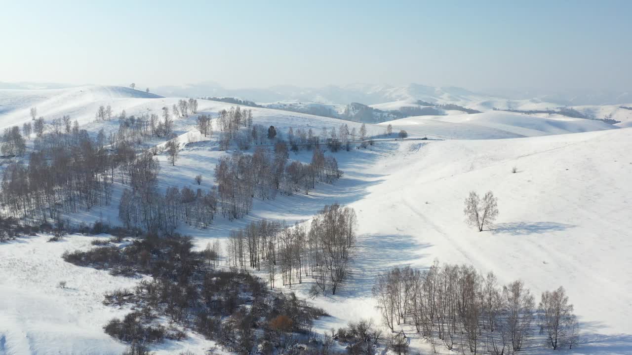 阿尔泰冬季道路和积雪下树木的航拍视频。西伯利亚,俄罗斯视频下载