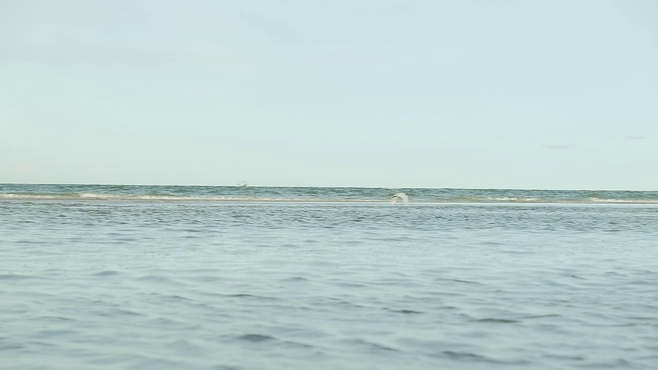 慢动作的鸟飞过热带华欣海海滩在泰国视频素材