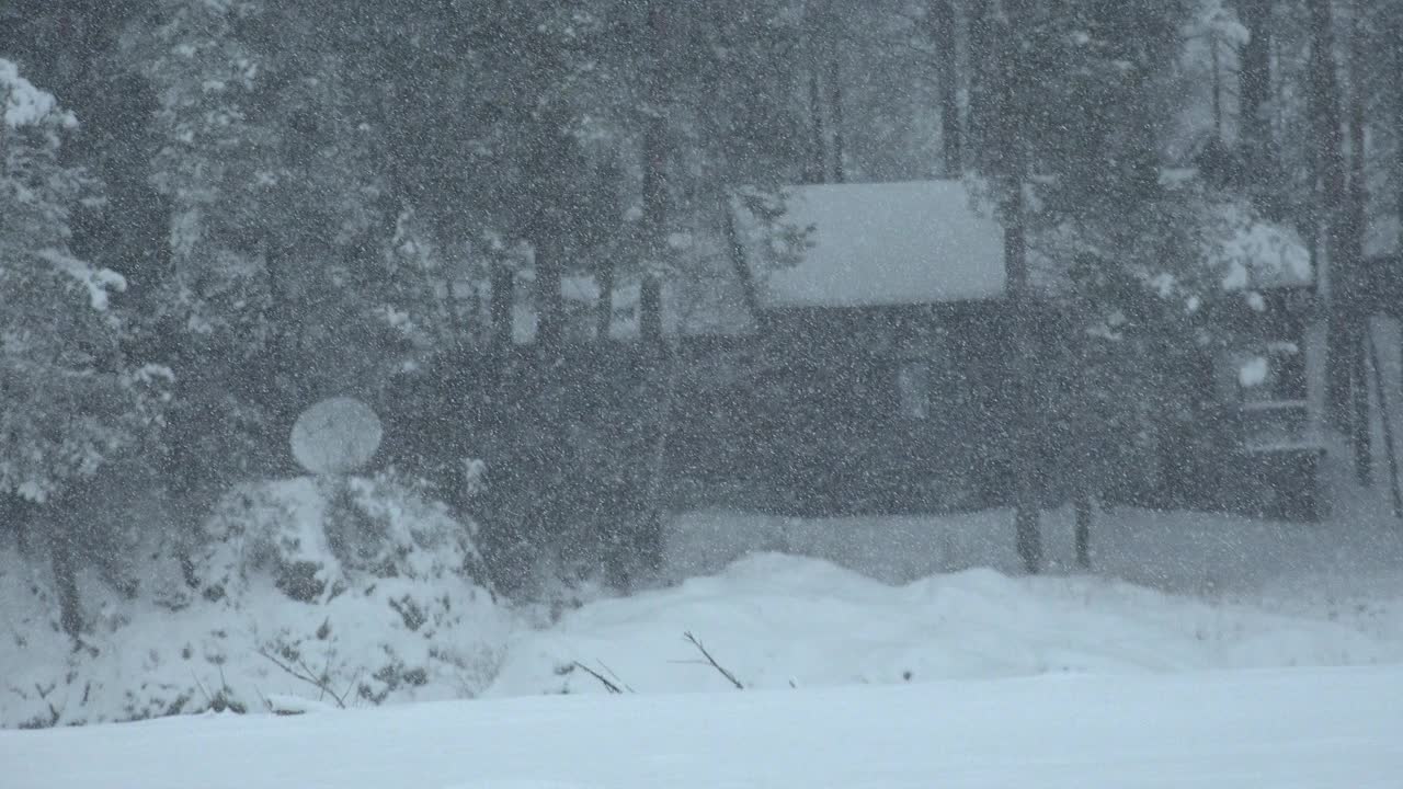 卡顿河畔大雪笼罩下的冬季森林。森林里的乡村房子。视频下载