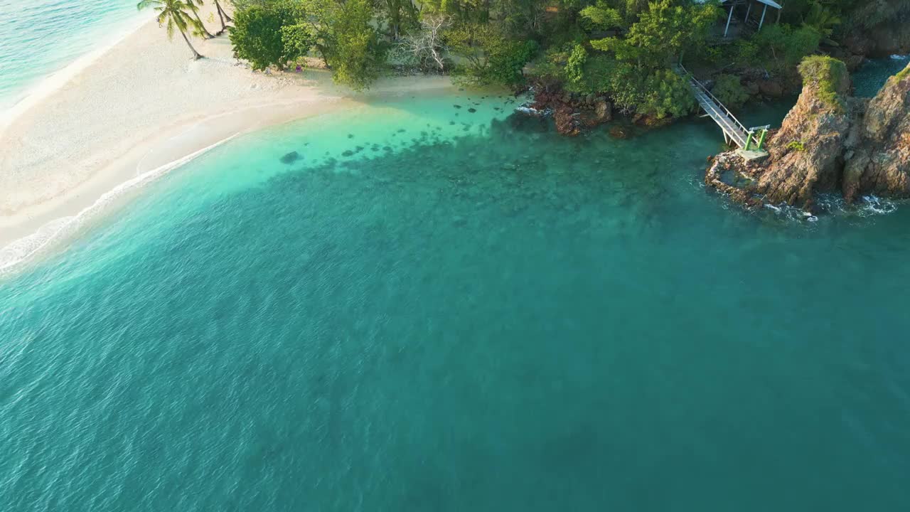 鸟瞰热带绿树森林白沙海滩棕榈树视频素材